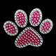 Silver and Pink Paw
